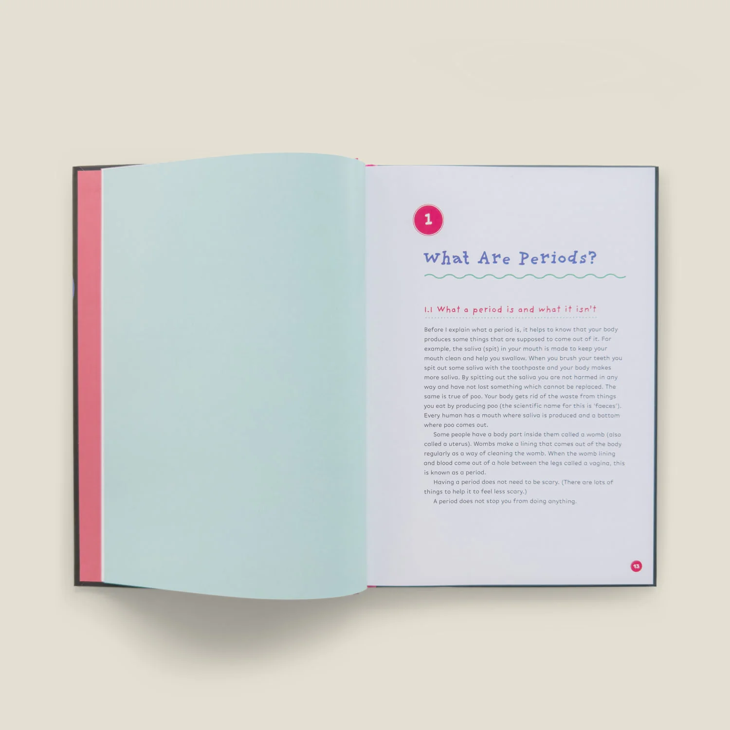 The Autism-Friendly Guide to Periods by Robyn Steward - Image 4
